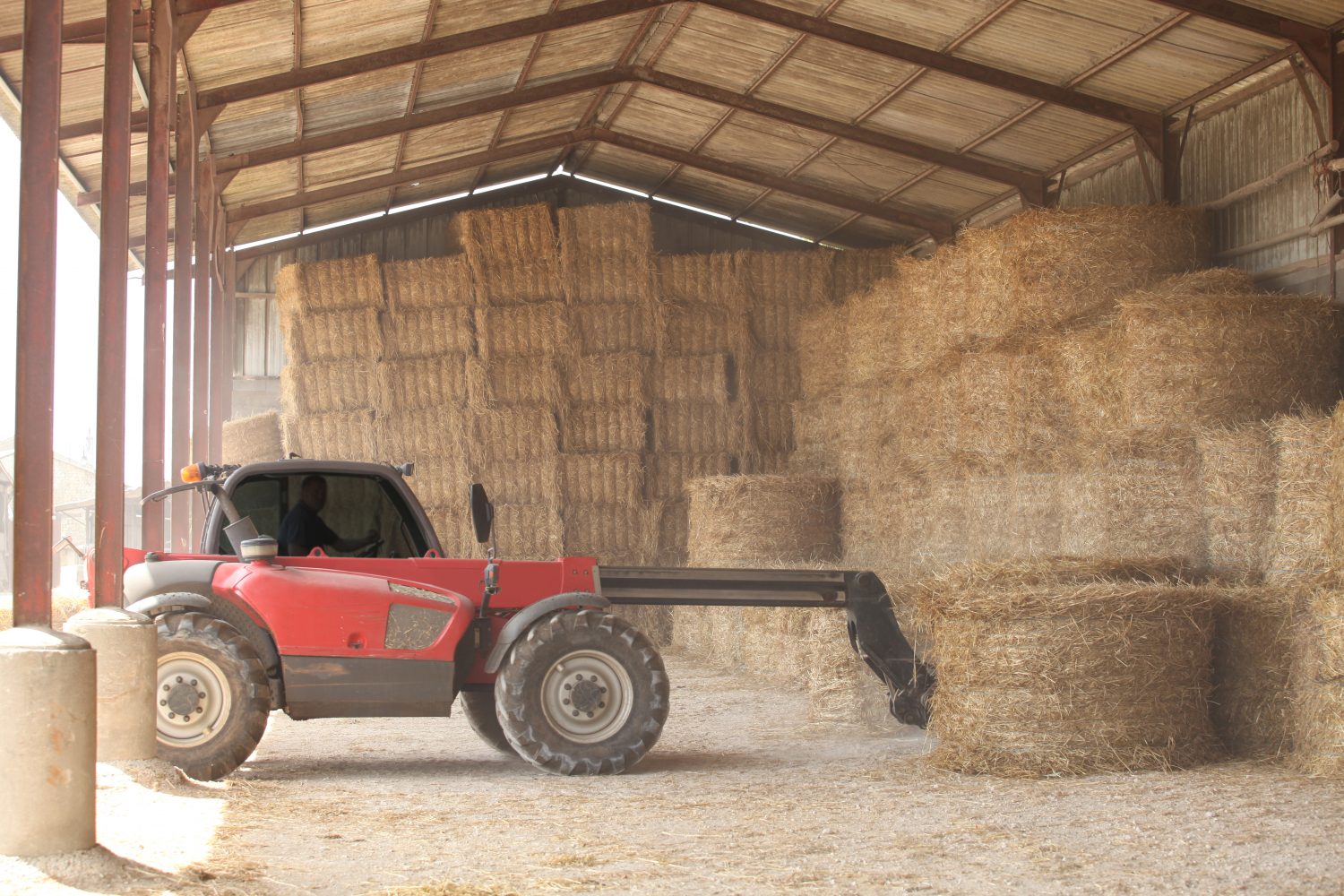 Regional Economics To Influence Hay Prices Most