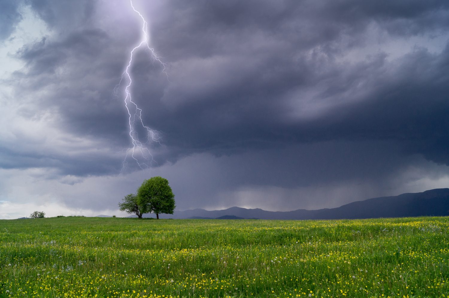 Lightning Landscape