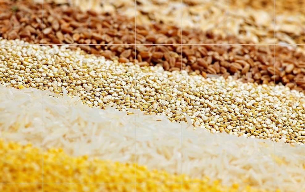 Grains