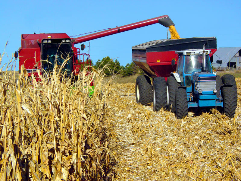 U.S. Farm Income To Hit 12-Year Low