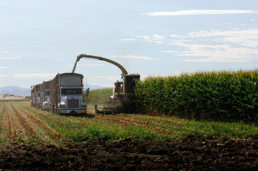 Here Is What Farmers Say About Keeping NAFTA