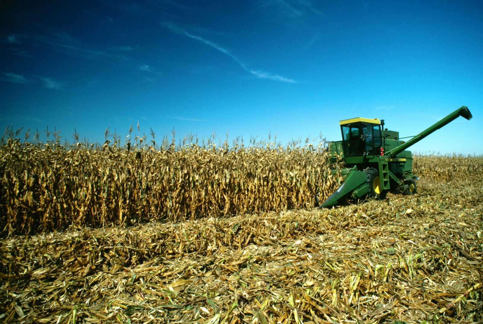 Quarterly Grain Stocks: Corn Down 2%, Soybeans Up 47%