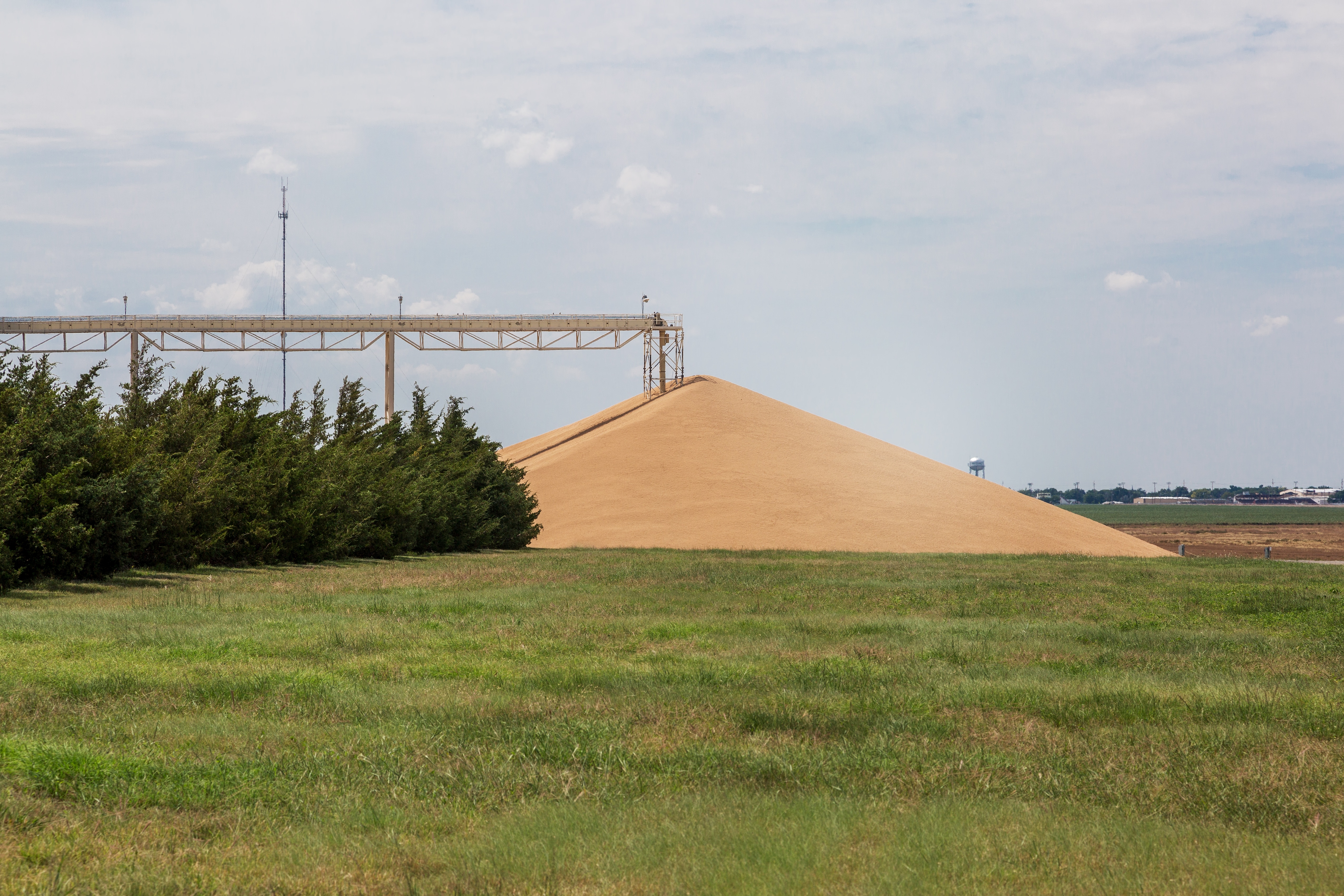 Crop Progress: Are We Headed For Record Yields?