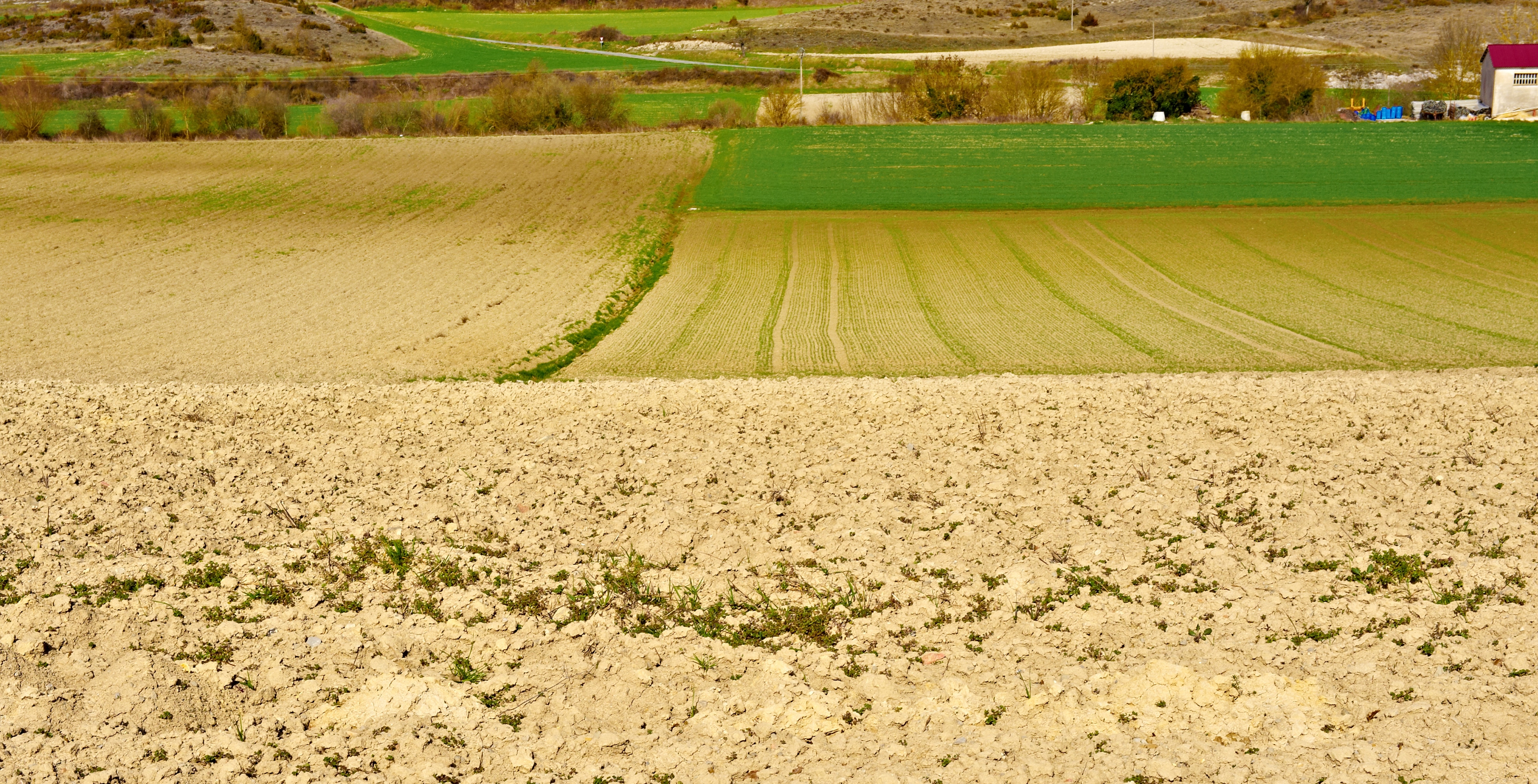 Plowed Field